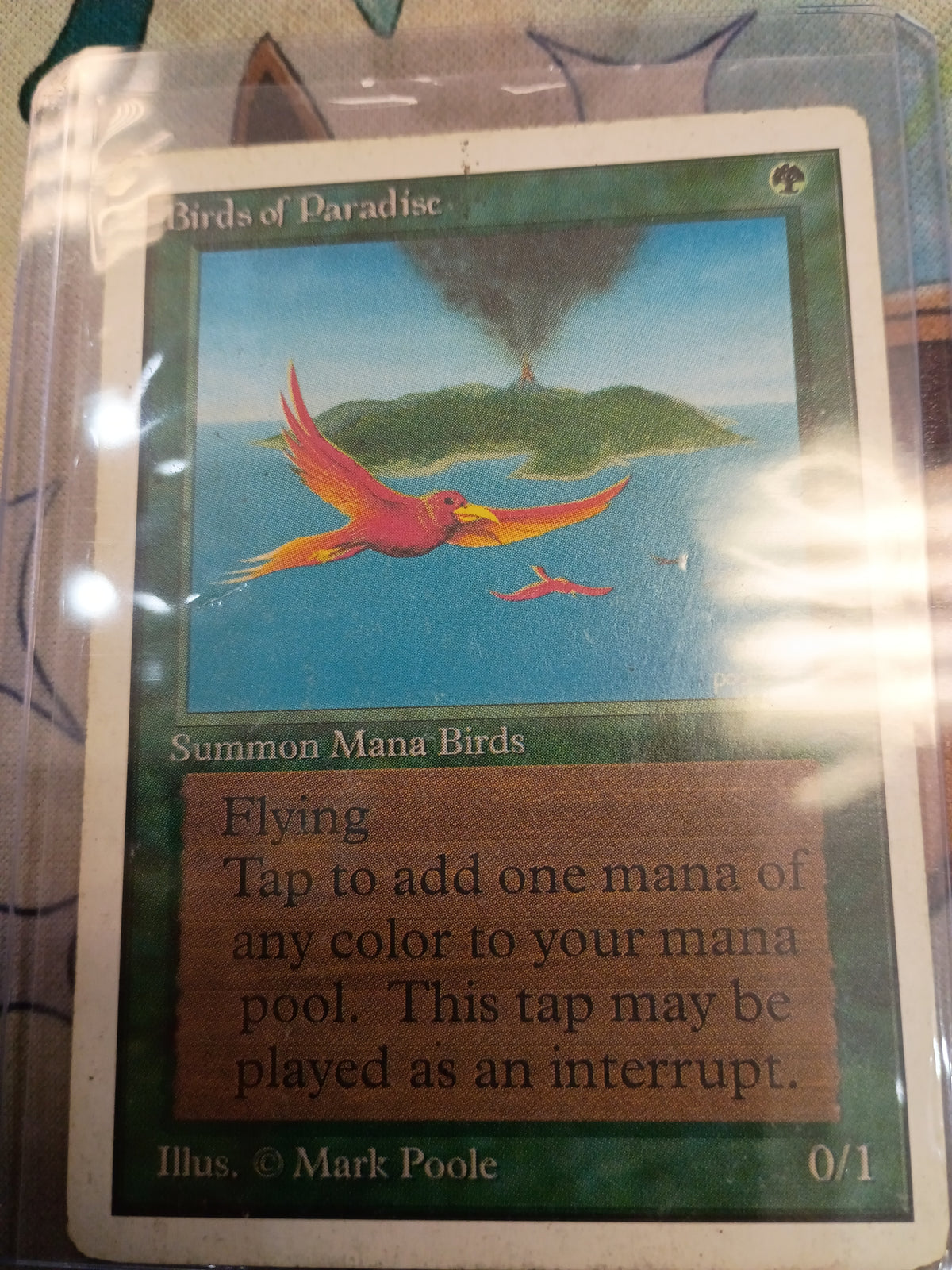 Birds of Paradise Unlimited Edition HP