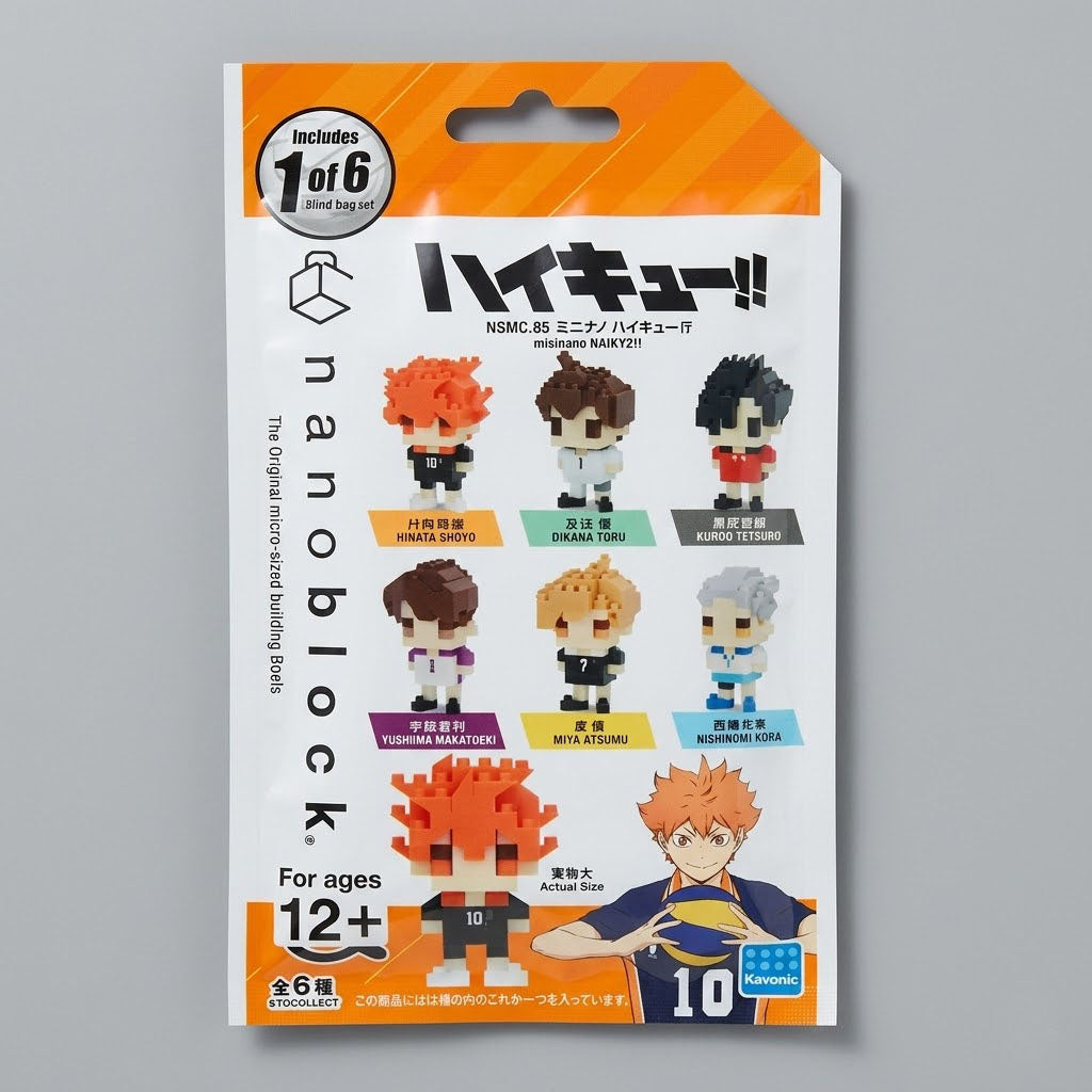 Haikyu nano blocks