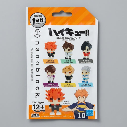 Haikyu nano blocks