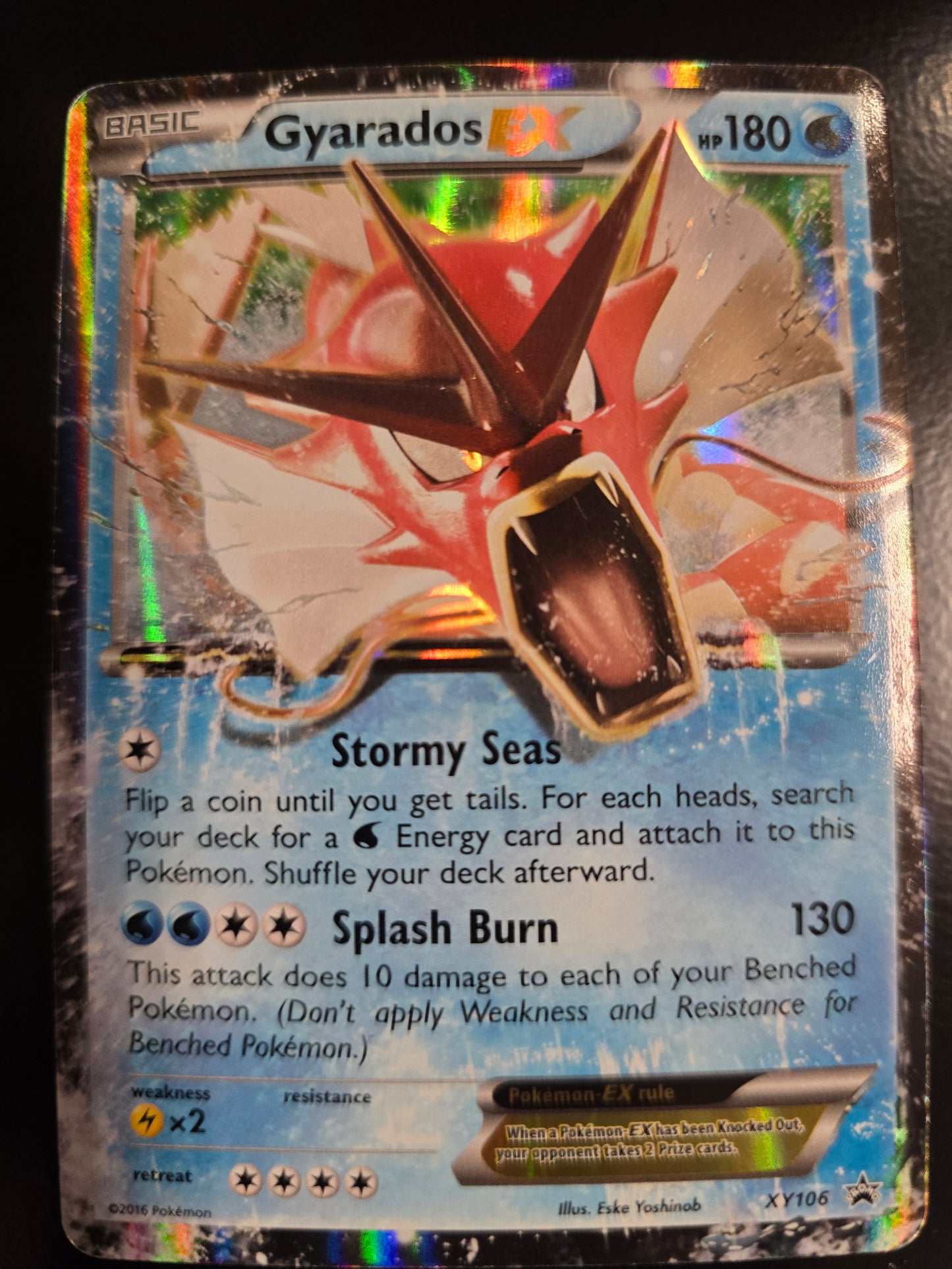 Gyarados EX XY106 XY Promos Holofoil NM