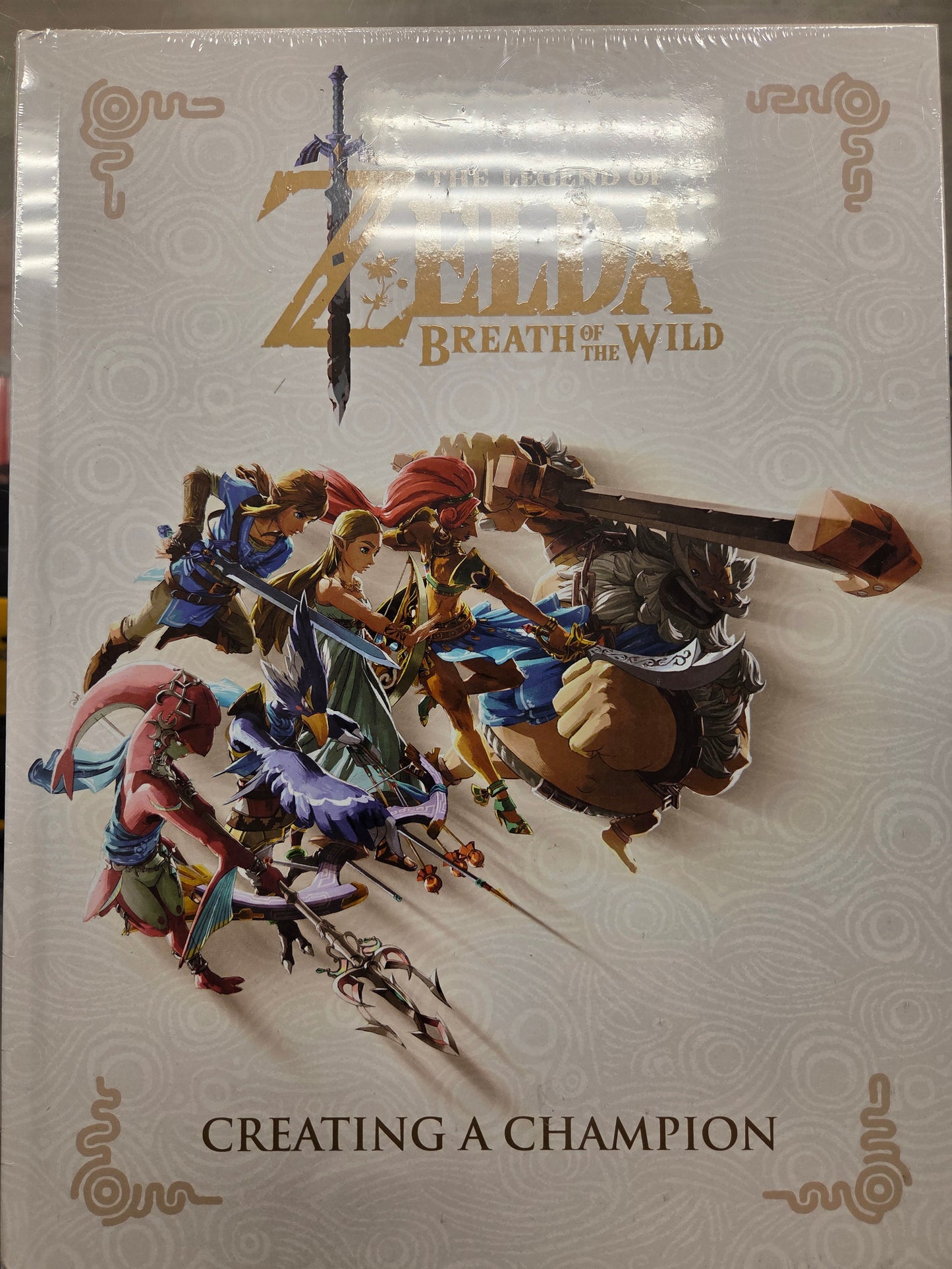 The Legend of Zelda Breath of the Wild. Creating a Champion