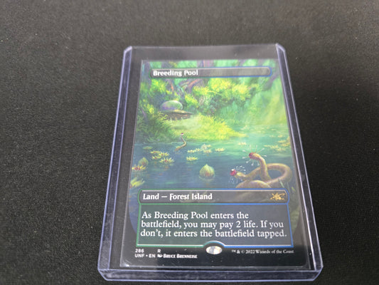 Breeding Pool 286 R Unfinity Borderless Normal NM