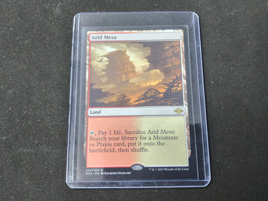 Arid Mesa 244/303 R Modern Horizons 2 Normal NM