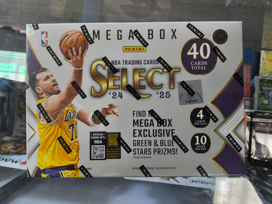Panini Mesa Box NBA Trading Cards Select '24 '25 40 Cards