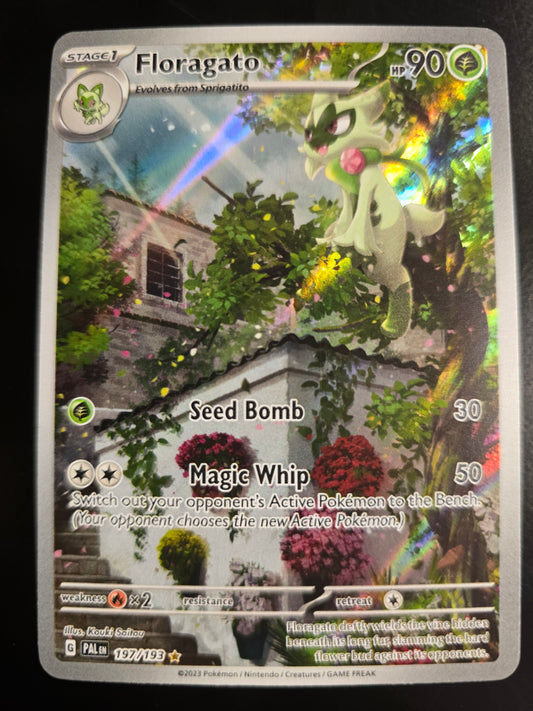 Floragato 197/193 Paldea Evolved Holofoil NM