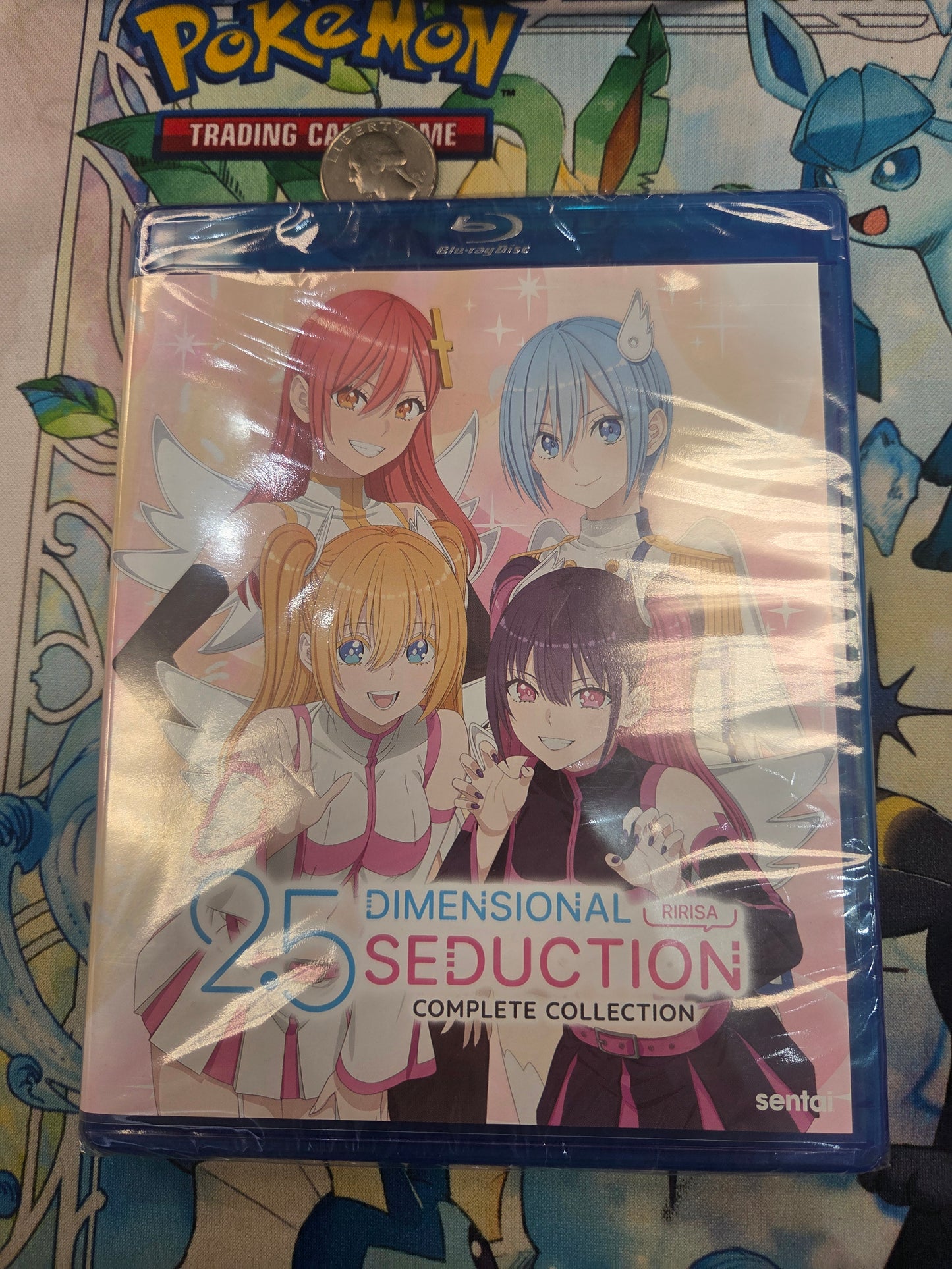 25 Dimensional Seduction