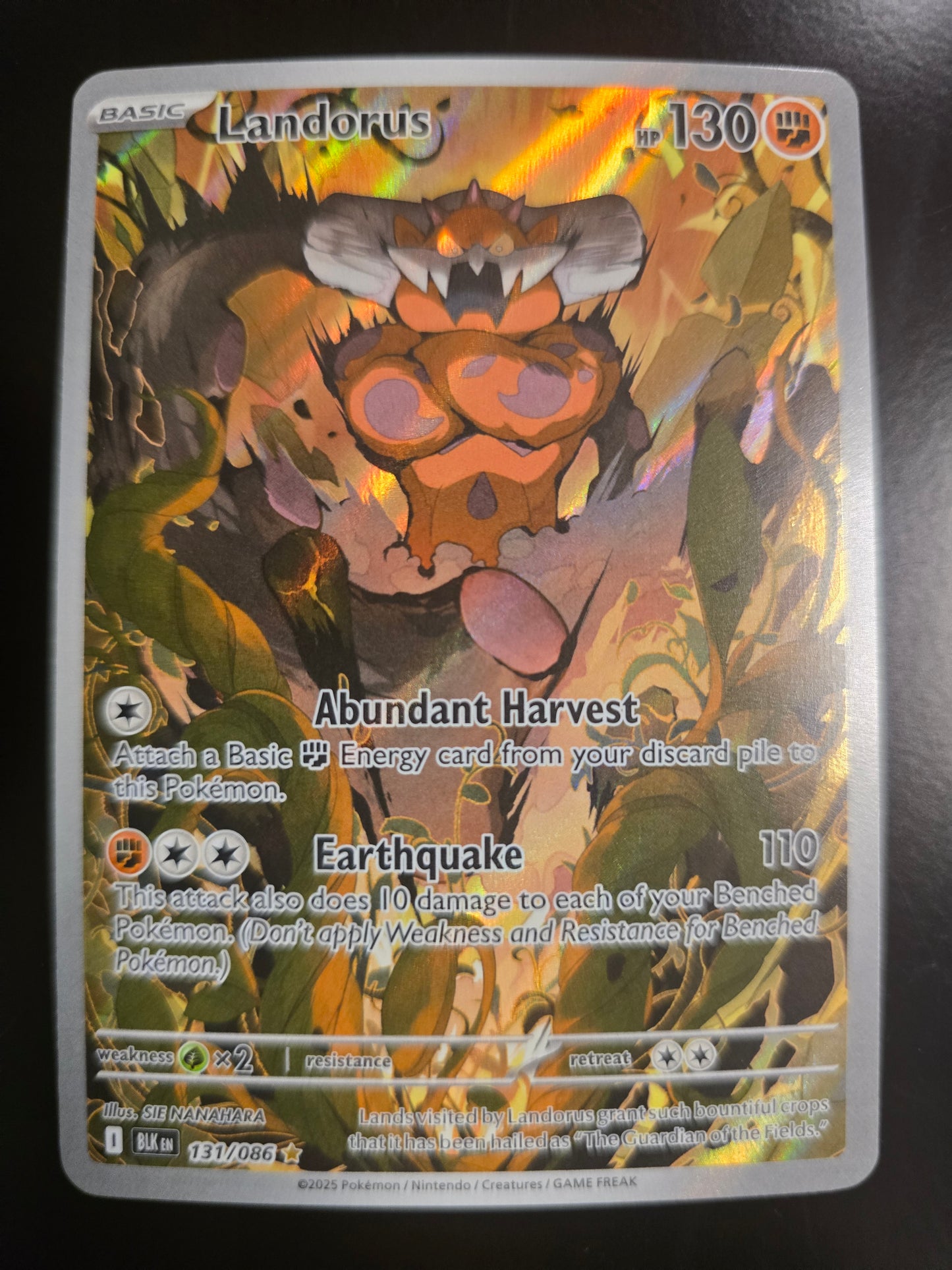 Landorus 131/086 Black Bolt Holofoil NM
