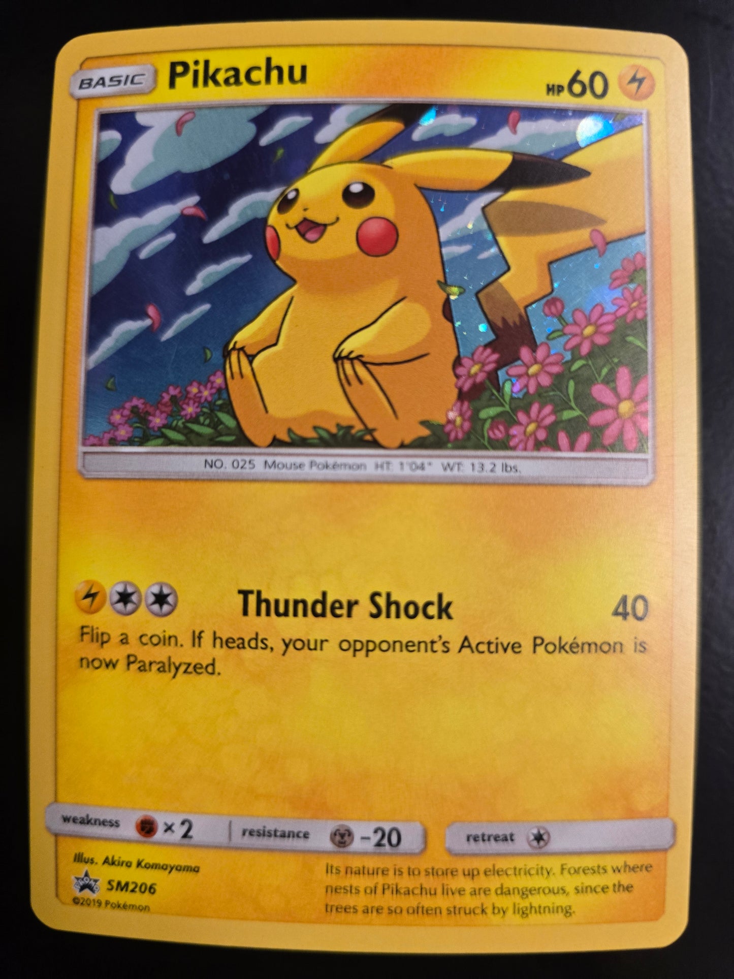 Pikachu SM206 SM Promos Holofoil NM